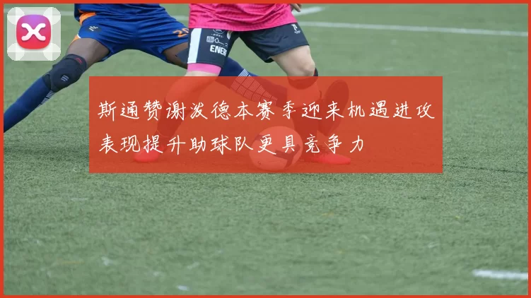 斯通赞谢泼德本赛季迎来机遇进攻表现提升助球队更具竞争力
