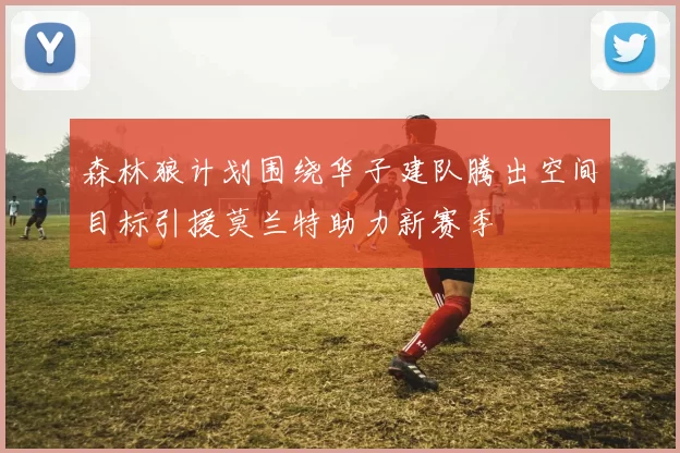 森林狼计划围绕华子建队腾出空间目标引援莫兰特助力新赛季